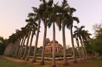 QR tags removed from 100 trees in Lodhi Gardens after forest department notice