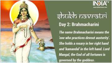 Navratri 2019 Day 2: Worship Goddess Brahmacharini; Know Puja Vidhi, Mantra and Aarti