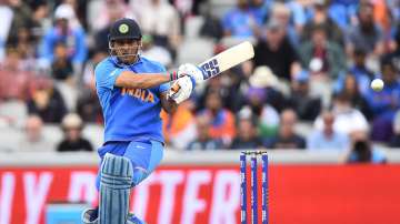 MS Dhoni has nothing left to achieve, says chess wizard Anand