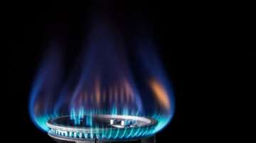 Government cuts gas price by over 12 per cent
