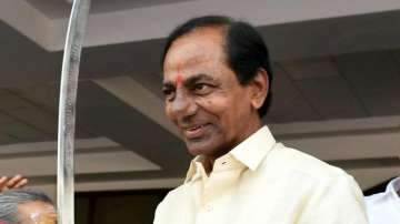 Telangana government orders removal of CM KCR and other politicians' temple carvings