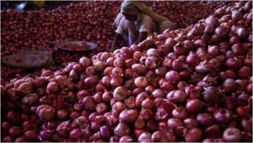 MMTC onion import