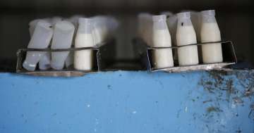 This is Pakistan for you: At Rs 140/litre, milk costlier than petrol