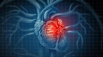 Decoded: Why women get heart attacks later than men