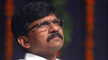 ED case against Pawar has galvanised NCP ahead of polls: Sanjay Raut
