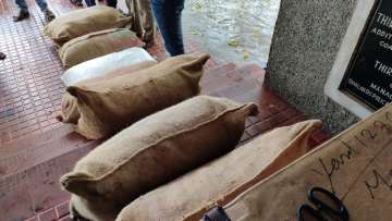 Over 300 kg of sea cucumber seized in Tamil Nadu