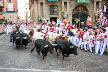 Bull-run event in Spain