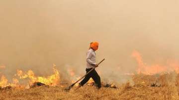 This official pens songs to stop stubble burning in Punjab