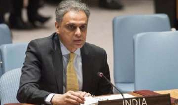 Global community must address Pak terror sanctuaries: India