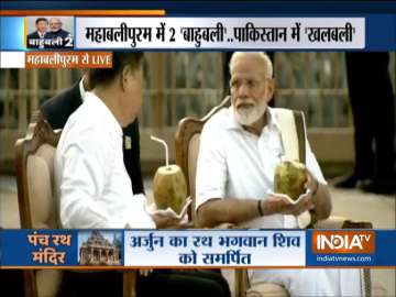 PM Modi, Xi Jinping enjoy coconut water at Panch Rathas complex
