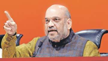 Kashmir on way to development after Article 370 revocation: Amit Shah