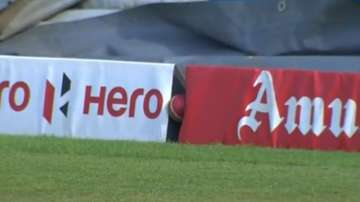 India vs South Africa: Proteas fielders search for ball stuck inside boundary board