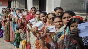 Chhattisgarh's Chitrakot records higher voter turnout