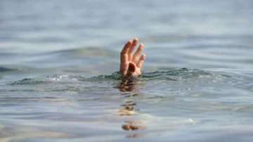 Maharashtra: Four feared drowned during Durga idol immersion