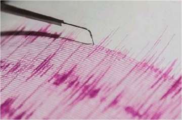 Mild tremors hit Palghar