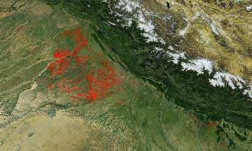 NASA image shows stubble burning in North India