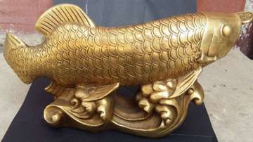  Arowana fish, Vastu Tips