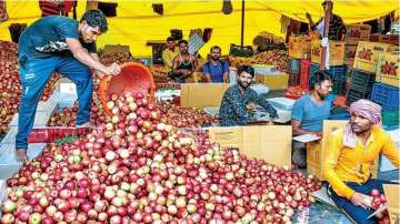 JK govt procures 1.34 lakh apple boxes from fruit growers in south Kashmir