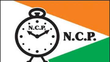 Maharashtra Assembly polls: NCP supports independent candidate in Karmala