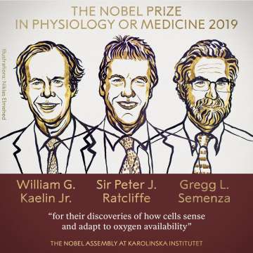 Breaking: Nobel Prize in Physiology or Medicine awarded jointly to 3?