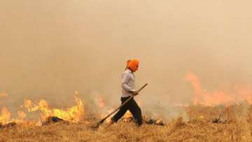 Punjab records 45 percent hike in farm fires, officials say overall count will be less than 2018