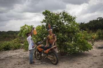 Daily life in the remote Tembe indigenous villages in the Amazon jungle of Brazil mixes tradition and modernity