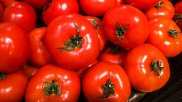 A tomato a day can keep virility problems at bay