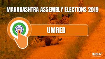 Maharashtra Assembly Polls 2019 Results
