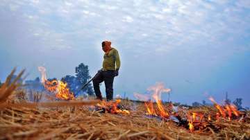 Delhi AQI 'very poor' as stubble burning spikes