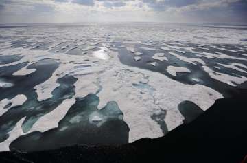 Arctic ocean may be invaded by microbes from tropics, affecting ecosystems: Study