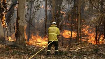 A National Parks and Wildlife crew member fights flames at Half Chain road at Koorainghat, near Tare