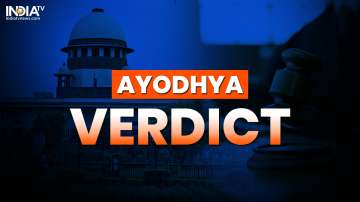 Ayodhya verdict: Babri Masjid not constructed on vacant land, says CJI 