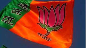 BJP jharkahnd assembly polls