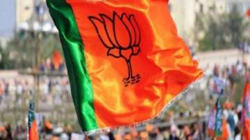 BJP issues list of 40 star campaigners for upcoming Jharkhand Assembly Polls