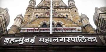 Raids on BMC contractors unearths Rs 735-cr financial irregularities: I-T dept