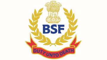 BSF Head Constable Result 2019 