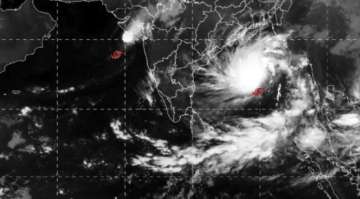 Cyclone 'Maha' spares Gujarat, showers likely for next 2 days