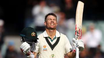 D/N Test: Fans bash Tim Paine for crushing once in a lifetime opportunity for David Warner