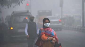 Air purifiers, masks, outdoor events on hold: Embassies in Delhi take anti-pollution steps