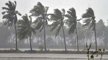'Bulbul' triggers heavy rainfall, uproots trees in Odisha. Representational image