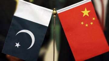 China-Pak relation win-win cooperation, mutually beneficial: Chinese envoy