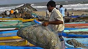 Kisan credit cards given to 8,400 fishermen so far: Government (Representational image)