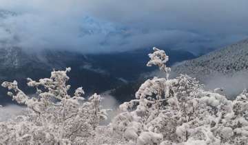 Kalpa in Himachal wrapped in snow blanket