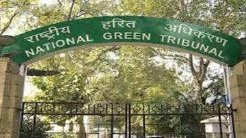 NGT slaps Rs 10 crore fine on UP govt, Rs 280 crore on tanneries
