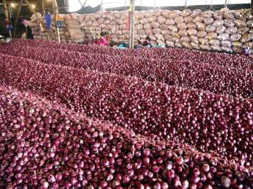 MP: Onions worth Rs 22 lakh go missing, empty truck found