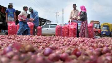 Centre to take call on onion imports as prices surge