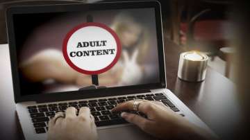 Sexually aggressive people watch porn more: Study