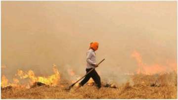 Nodal officers to ensure farmers do not burn stubble in Haryana