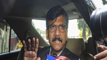 We can prove majority in 10 minutes flat: Sanjay Raut