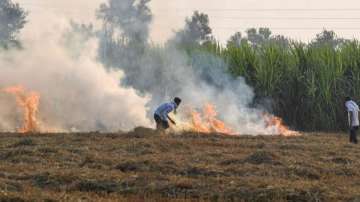 Punjab, Haryana farmers caught in vicious time-cycle web. 